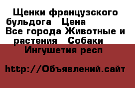 Щенки французского бульдога › Цена ­ 30 000 - Все города Животные и растения » Собаки   . Ингушетия респ.
